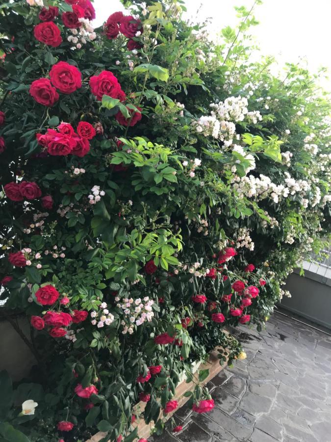 La S'Volta Vanzago Bed And Breakfast المظهر الخارجي الصورة